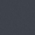 Triathlon Performance